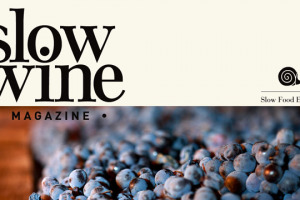 Nasce Slow Wine Magazine, rivista digitale distribuita via web in abbonamento. Sar&agrave; disponibile in italiano, inglese e tedesco. Nelle intenzioni dei curatori dovrebbe diventare il punto di riferimento del vino italiano quando va all&rsquo;estero