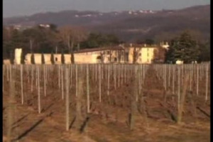 Continua il viaggio di WineNews tra i protagonisti della degustazione di Wine Spectator e Vinitaly del 24 marzo a Verona: ecco l&rsquo;Amarone con Bertani, Tommasi, Zenato, Tedeschi, Allegrini e Masi