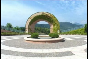 Un giorno di ordinaria vendemmia. Cronaca, riflessioni, emozioni e attese dell&rsquo;evento dell&rsquo;anno per ogni azienda vitivinicola. La raccolta in casa Bellavista nelle parole dell&rsquo;enologo Mattia Vezzola