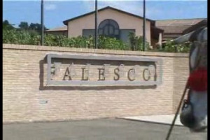 Come eravamo... Scene di una giornata di vendemmia secondo tradizione, con tanto di buoi, costumi e canti popolari. Dove? Presso la modernissima Falesco, l'azienda di famiglia dei Cotarella