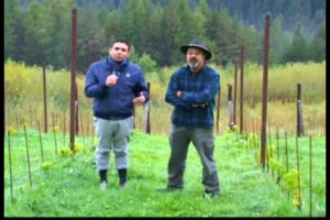 A quota 1.350 metri, vicino Cortina, sorge il vigneto pi&ugrave; alto del mondo: una sfida in un territorio limite, segnato da criticit&agrave; importanti e punti di forza tutti da scoprire, in cui &egrave; determinante la scelta della variet&agrave; e del giusto portainnesto