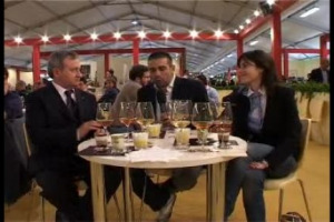 Gelato e vino, il matrimonio non s'ha da fare? Oggi non pi&ugrave;... e nasce la carta che sdogana l'ennesimo abbinamento impossibile