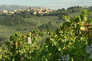 Il turismo, i territori, il vino: ricchezze fondamentali per l&rsquo;Italia, ma che devono essere valorizzate di pi&ugrave; e meglio. Con una programmazione turistica ed economica all&rsquo;altezza, e con un sistema di offerta integrata, che oggi ancora non c&rsquo;&egrave;