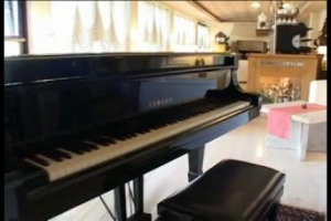 Aspettando la magica notte di S. Silvestro... I consigli della famiglia Vissani per un cenone indimenticabile, accompagnato da tante bollicine. Quale miglior auspicio per il 2009?