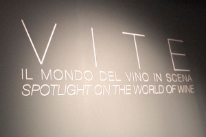 Il vino &egrave; soprattutto gusto e olfatto. Ma pu&ograve; essere anche un racconto per immagine, tra territorio, storie di vita quotidiana, tradizione e modernit&agrave;. Il caso della mostra fotografica &ldquo;Vite. Il mondo del vino in scena&rdquo;, firmata Zenato