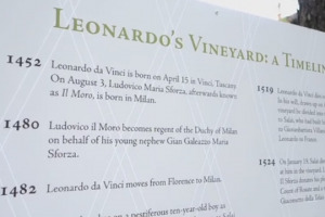 1482, la storia di Leonardo da Vinci si intreccia a Milano ed alla corte di Ludovico il Moro che, nel 1498, gli regala un grande vigneto. Che oggi rivive grazie allo sforzo comune di Universit&agrave; di Milano, Confagricoltura e Raicom