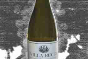 Bucci Doc Verdicchio dei Castelli di Jesi Classico Riserva Villa Bucci