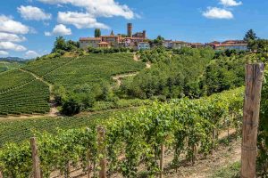 Citt&agrave; del Vino e dell&rsquo;Olio: Agricoltura e Turismo per un solo Ministero? Grande opportunit&agrave;