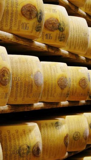 Coldiretti e Filiera Italia: &ldquo;bene la riduzione dei dazi sui formaggi da parte del Governo cinese&rdquo;