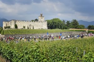 Il territorio delle celebri bollicine lombarde: ecco il vero vincitore della Franciacorta Stage