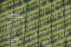 I Vini di WineNews - N. 2