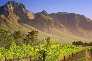 Mendoza, Napa Valley, Ningxia: il Nuovo Mondo enoico conquistato dalle bollicine