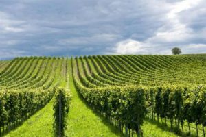 Autorizzazioni: e se il limite dell&rsquo;1% fosse sufficiente? Intanto, ci sono 22.000 ettari di riserva