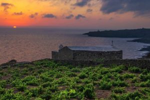 Il vino e la vigna presidio, anche sociale, del territorio: a Pantelleria tornano i giovani