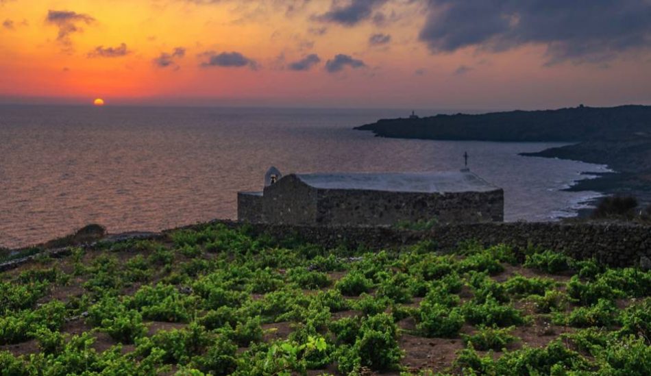 I vigneti di Pantelleria