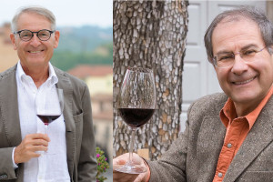 Ocm promozione e Comitato Vini, ancora tutto fermo: parlano Unione Italiana Vini e Federvini