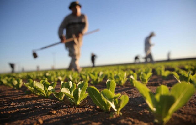 AGRICOLTURA ITALIANA, Cia, EXPORT AGROALIMENTARE, Non Solo Vino