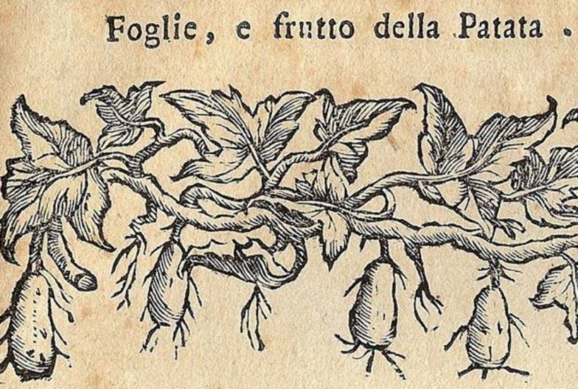 Tanti i volumi ed i testi antichi sul vino custoditi nella Biblioteca