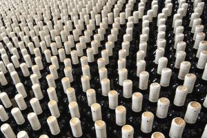 Volumi fermi o in calo, mentre cresce il valore: l&rsquo;export di vino dei produttori top per Rabobank