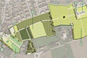 The Ca’ Apollonio project: in Veneto, the largest winery in Europe growing only resistant vines