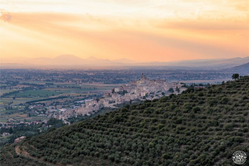 La fascia di oliveti Assisi-Spoleto