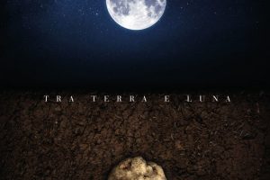 Fiera del Tartufo Bianco d&rsquo;Alba n. 88 &ldquo;Tra terra e luna&rdquo;, aspettando la raccolta con ottimismo