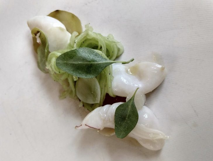 Calamaretto, aglio, mandorle e cetriolo