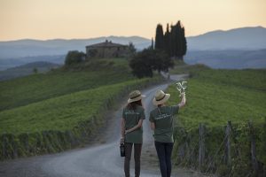 Adesso anche Fico racconta la vendemmia a settembre ... Dentro le mura del Parco Agroalimentare