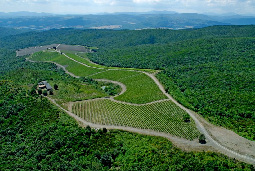 I vigneti di Castiglion del Bosco
