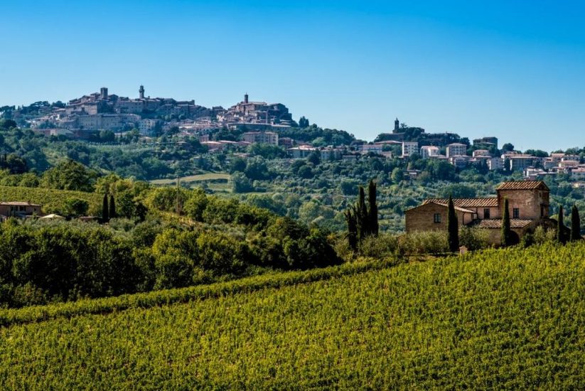 I vigneti del Vino Nobile di Montepulciano