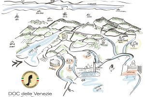 Pinot Grigio delle Venezie DOC is a success 1 million hectoliters claimed, and zero stocks