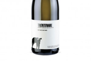 San Salvatore, Paestum Igp Trentenare 2017