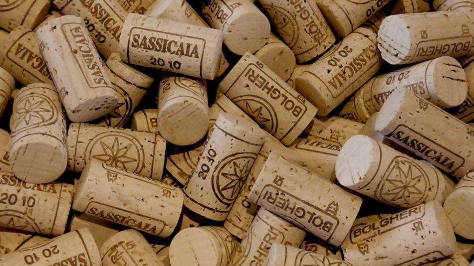 Sassicaia, con la 2018 arriva sul mercato la vendemmia n. 50 di un mito del vino mondiale