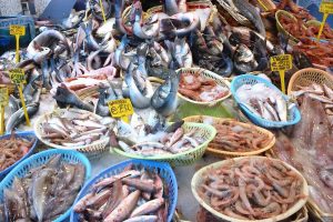 Stop al pesce fresco nel tratto laziale del Tirreno, continua la crisi dei pescherecci italiani
