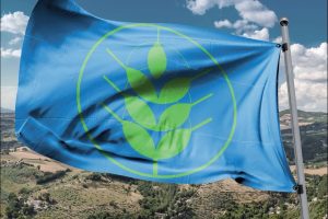 Anche nel 2025 crescono i comuni rurali con le “Spighe Verdi” (90), e con il Piemonte leader