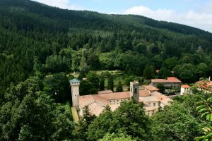 Tracciabilit&agrave; dei prodotti, ricerca ed educazione ambientale: accordo Carabinieri-Coldiretti