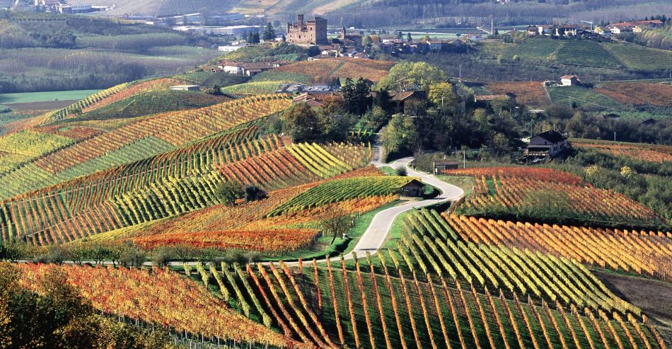 Il distretto dei vini di Langhe, Roero e Monferrato. Ph Roberto Sacco/Sintesi