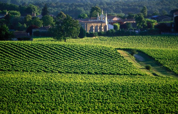 Bordeaux, BURGUNDY, CALIFORNIA, PIEDMONT, popularity, PRICES, TUSCANY, WINE LISTER, WINE SEARCHER, News