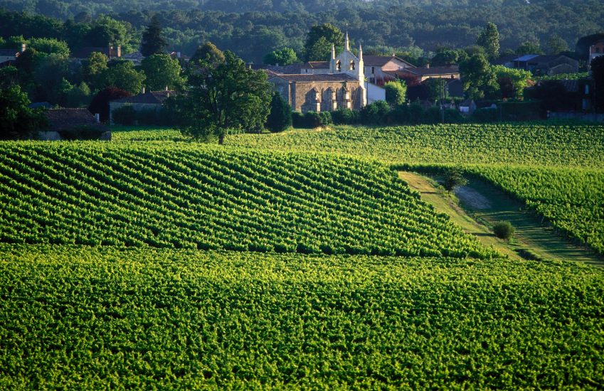 I vigenti di Bordeaux