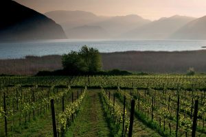 Chiari (e scuri) delle bollicine bresciane