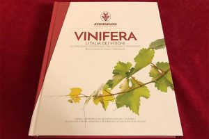 A “Vinifera - L’Italia dei Vitigni”, l’“enciclopedia del sapere” di Assoenologi, il Premio Oiv A “Vinifera - L’Italia dei Vitigni”, l’“enciclopedia del sapere” di Assoenologi, il Premio Oiv