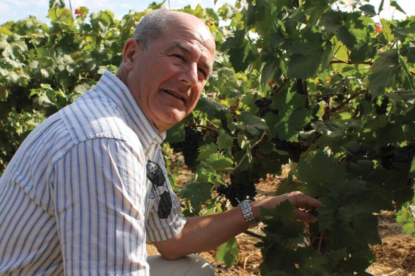 Vittorino Novello alla guida della Commissione Agricoltura dell’Oiv