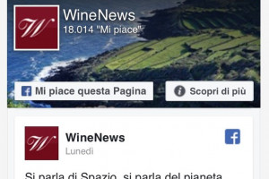 WineNews su Facebook da &ldquo;maggiorenne&rdquo;: oltre 18.000 i Mi piace di followers eno-appassionati