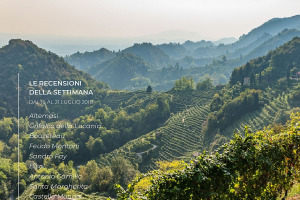 I Vini di WineNews - N. 6