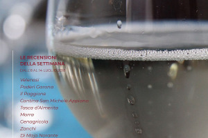 I Vini di WineNews - N. 5