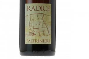 Paltrinieri, Doc Lambrusco di Sorbara Radice 2016