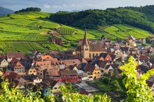 Francia, le prime previsioni parlano di una vendemmia 2018 abbondante, sui 46 milioni di ettolitri
