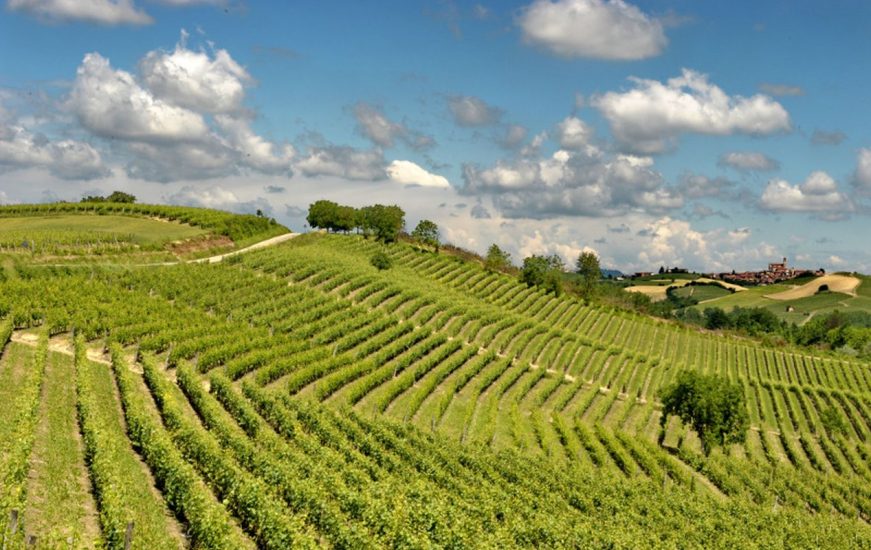 Il distretto del Monferrato, Patrimonio Unesco