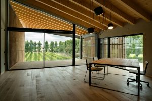 Una cantina, dalle “radici bio”, alla Biennale di Architettura a Venezia: è la Cantina Pizzolato