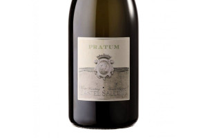 Castel Sallegg, Doc Alto Adige Terlano Pinot Bianco Pratum 2015